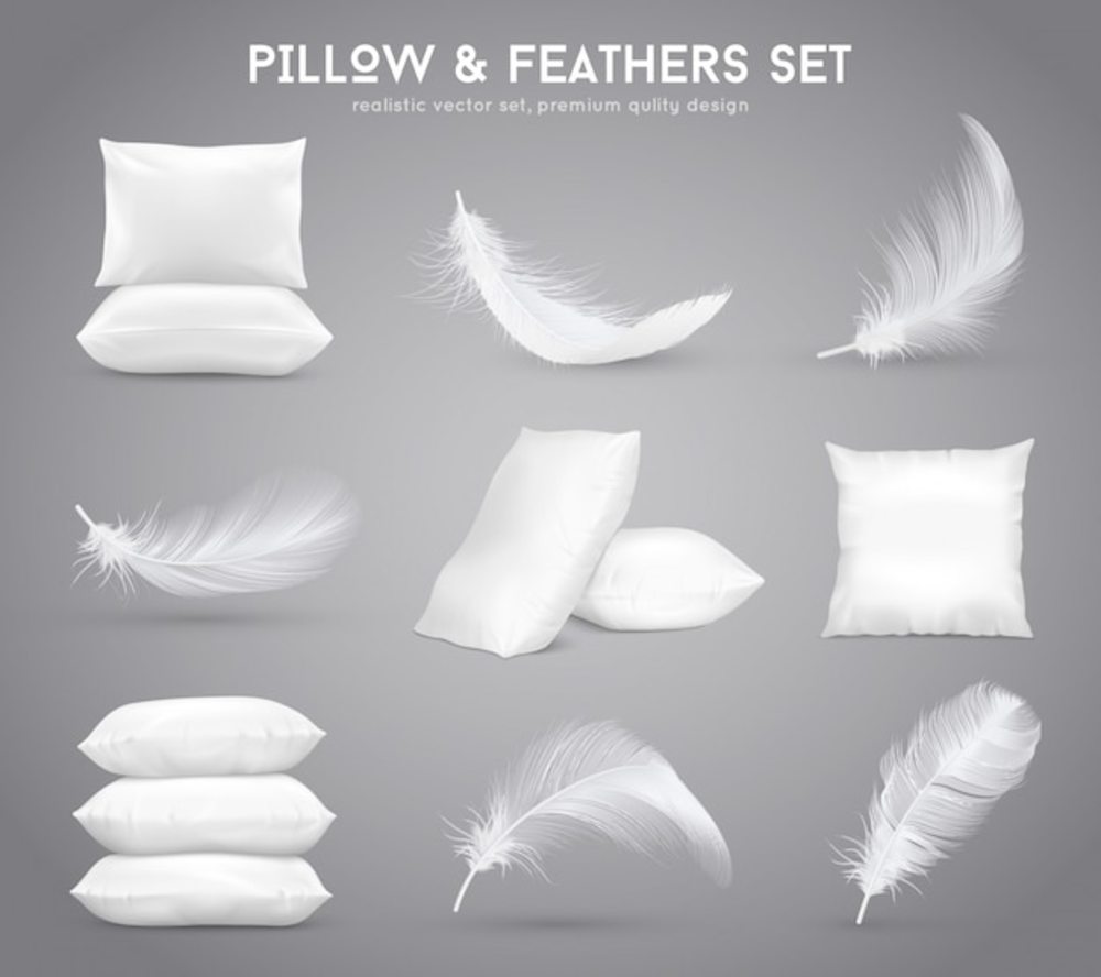 羽毛和枕头写实集